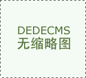 2025 年从动